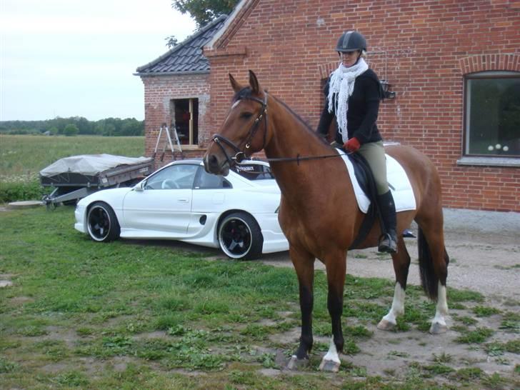 Oldenborg Neo UDLÅNT billede 16