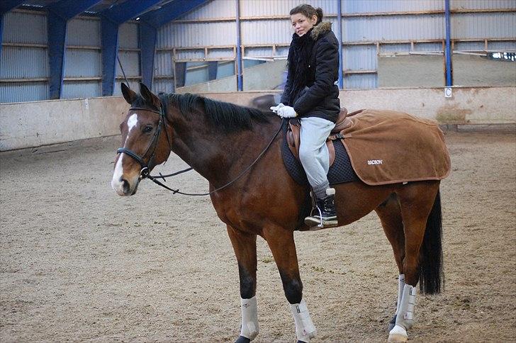 Dansk Varmblod Ulixes - Taaak for besøget ! billede 15