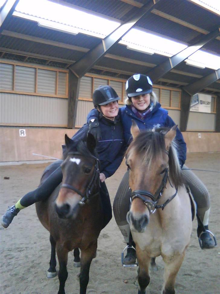 Anden særlig race Apollon. # Gammel part # - Mig&Apollon sammen med Laura&Bobbi <3 Elsker jer alle :* billede 16