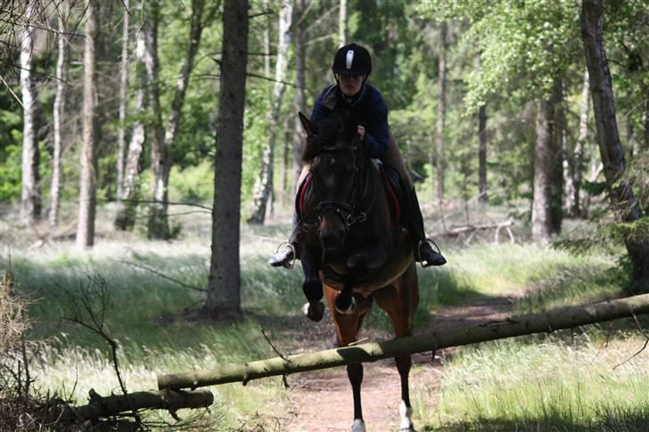 Anden særlig race Voldbjerggårds Musse - Musse og jeg i skoven på camping Grundlovsdag 09 :) *Feddet* . Foto: Mor billede 6
