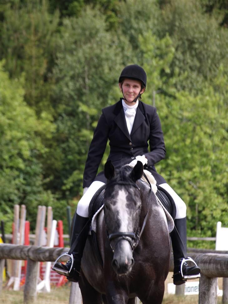 Anden særlig race ontario >--Aflivet--< billede 5