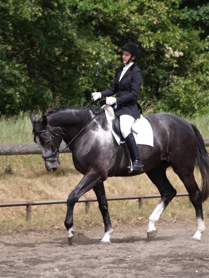 Anden særlig race ontario >--Aflivet--< billede 7