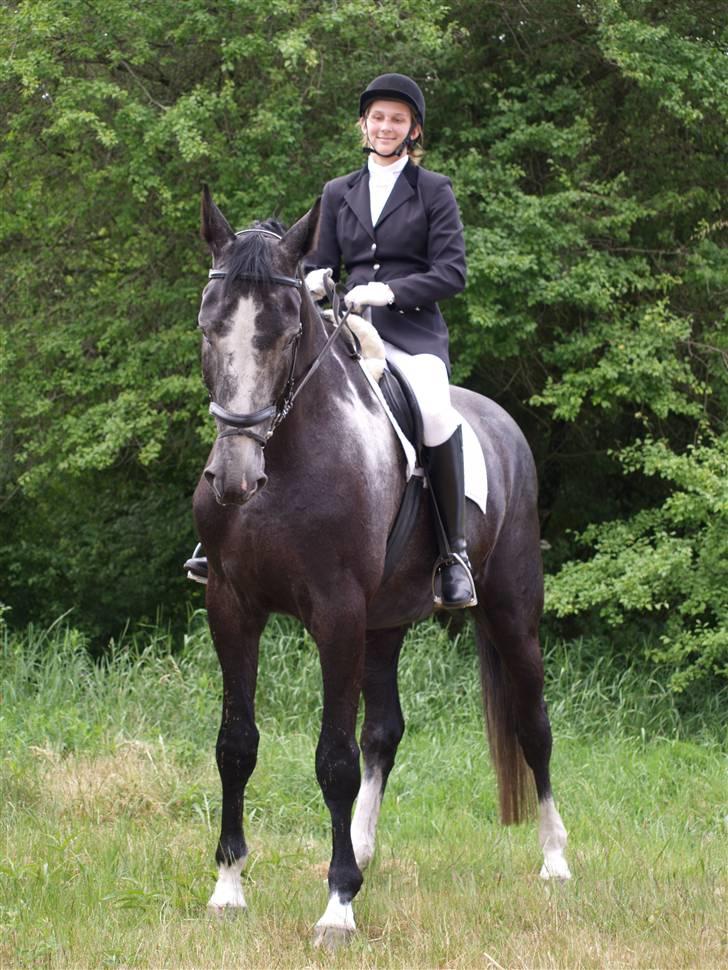 Anden særlig race ontario >--Aflivet--< billede 10