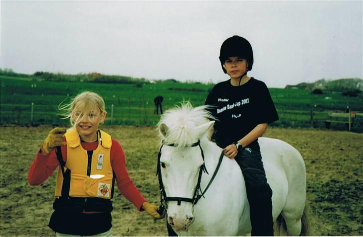 Anden særlig race Silver billede 1