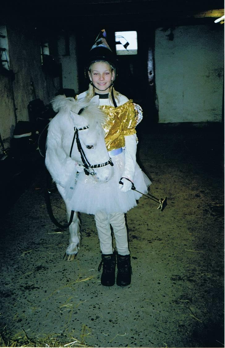 Anden særlig race Silver billede 2