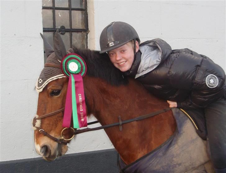 Anden særlig race Tobias - 1. Fik en 6 pl. ud af 32 til Danish Christmas Show - Warm Up billede 1