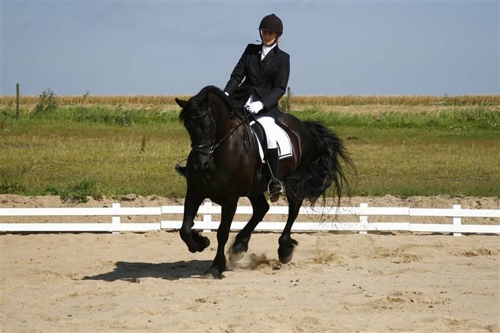 Frieser Thealien billede 6