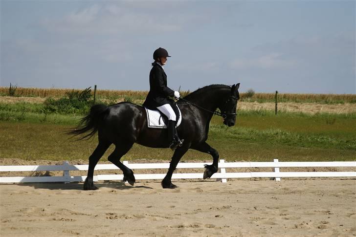 Frieser Thealien billede 7