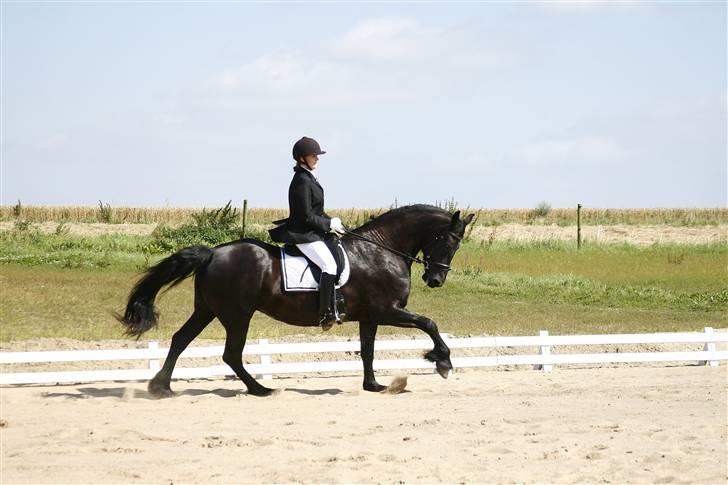 Frieser Thealien billede 8