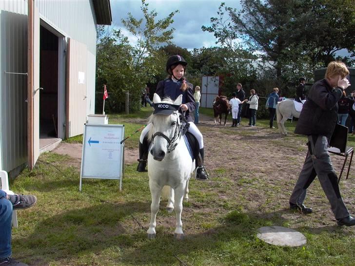 Anden særlig race Hvide<3 - Mester og jeg vandt en kasket<3 billede 13
