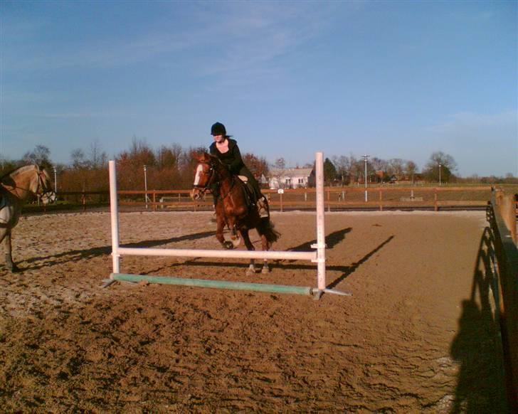 Frederiksborg Abida Gry - Prinsessen i hopla :D billede 2