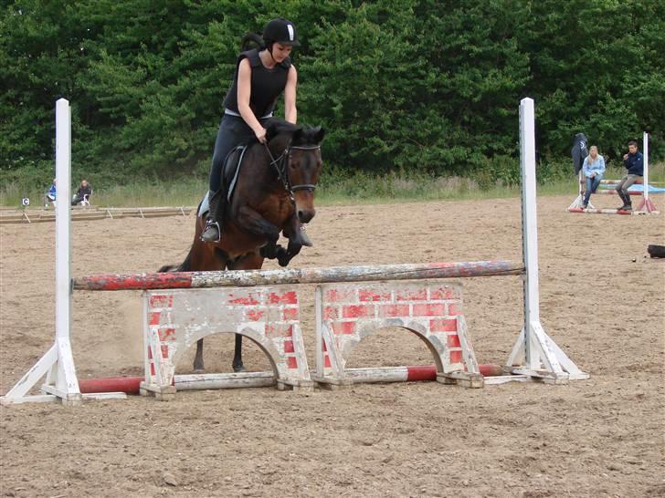 Anden særlig race Peterpan (har redet)  - Carina & Peter flyver over kasserne.  billede 10