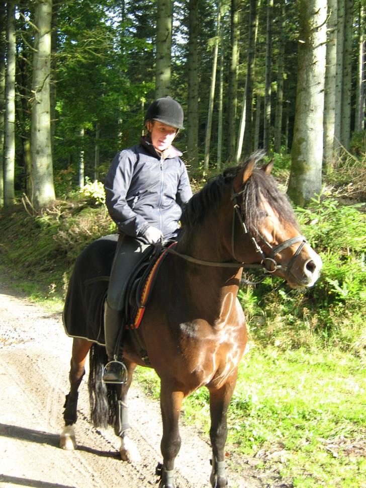 New Forest Flintdales Ranzau - Solgt - Skovtur med Maria og Pjokker :O) billede 18