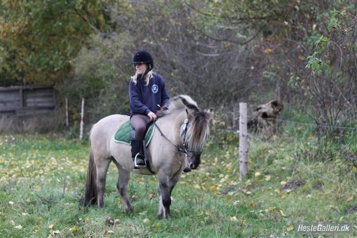 Anden særlig race Lucas<3 (SOLGT & SAVNET!) - # 5. skat <3 ! Vil aldrig miste dig, vil heller dø ! <33 Foto: Nadia Jørgensen billede 5