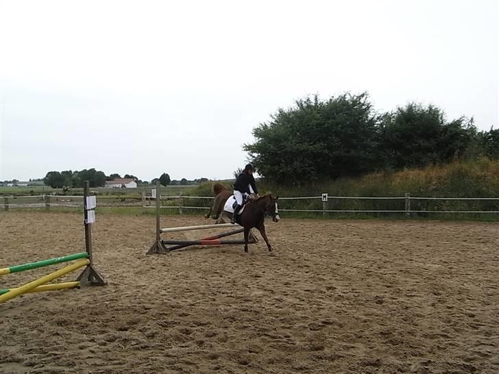 Sportsaraber (A) zamiil - 60 cm:) hihi. billede 16