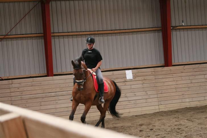 Oldenborg Flexie Vestergård - dressurkursus billede 13