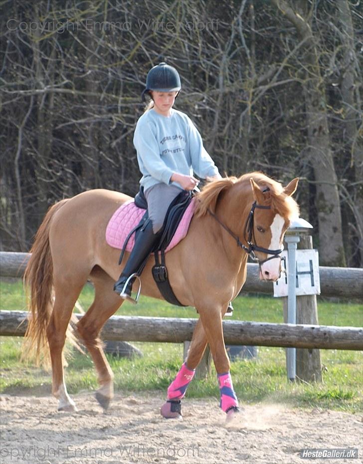 DSP Lindholms Gutchi - er vi ikke fine med alt det lilla udstyr?... hehe(: billede 4