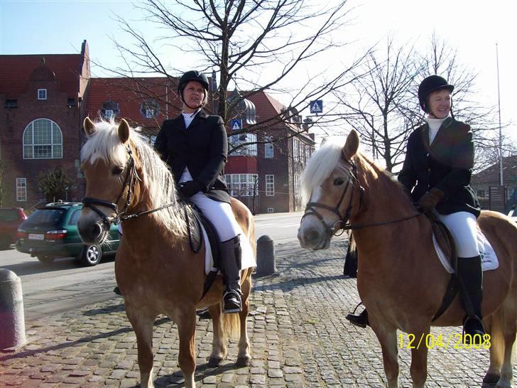 Haflinger Marika *Himmelhest* - Marika/Mig og Mille/Ulla, se hvor er vi fine, skulle ride med Garderhusarer billede 8