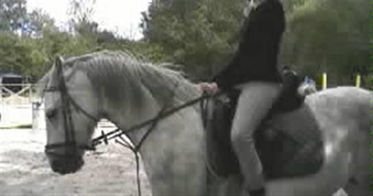 Anden særlig race Safir - Jeg elsker dig<3    Foto: Malle -  undskyld kvaliteten!, men det er taget med 1,3 megapixel kamera :s billede 4