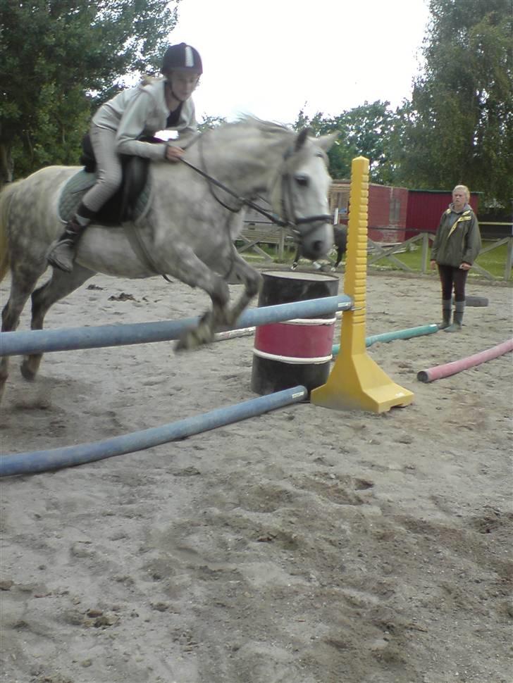 Anden særlig race Safir - Jeg elsker dig Safir<3 (80 cm.)     - Jeg ved godt det ser mærkeligt ud den måde jeg sidder på! billede 6