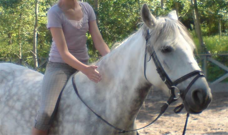 Anden særlig race Safir - Jeg elsker dig Safir<3 billede 9