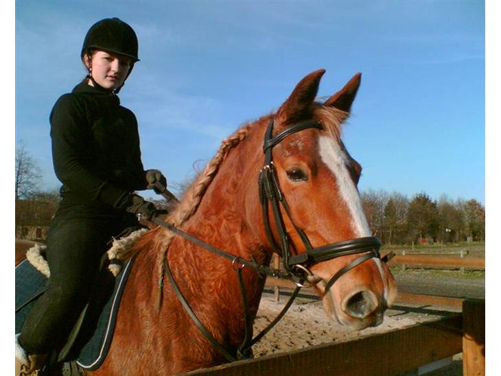 {{currentPhoto.altText}} billede {{currentPhoto.number}}