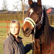 Anden særlig race Jackpot