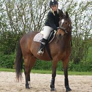 Anden særlig race Jackpot