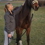 Anden særlig race Jackpot