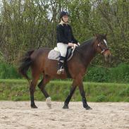 Anden særlig race Jackpot