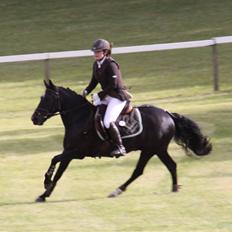 Anden særlig race Torpegårds Master 