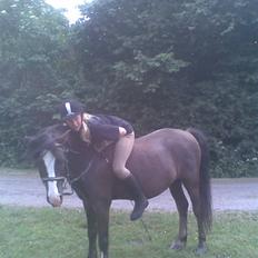 Anden særlig race Gilbert<3<3<3 hans erik's