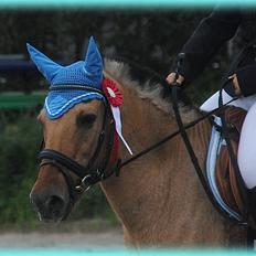 Anden særlig race HURs NOLLE | R.I.P. /': 