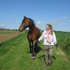 Anden særlig race Claus