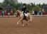 Tysk Sportspony Golden Starlight SOLGT - Fri trav i A-finalen ved DM <´3