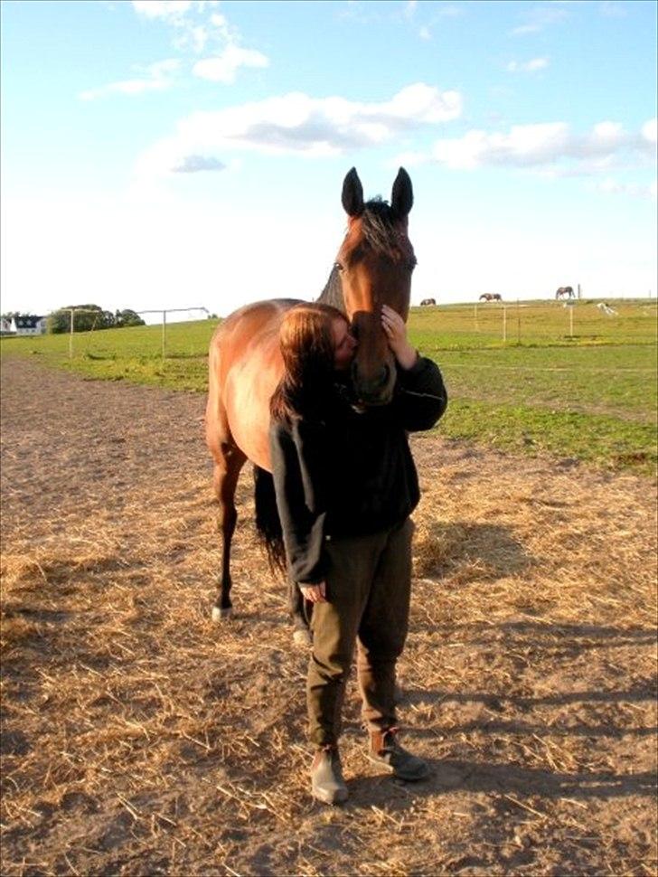 Traver Glory  billede 15