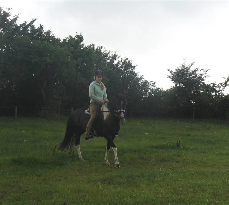 Islænder Katla *tidl. tilridning* - #9 Jeg rider Katla for første gang billede 9