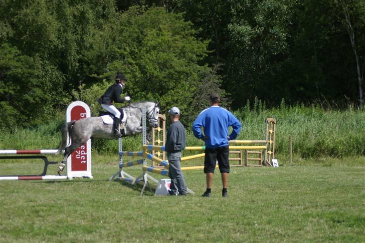 New Forest Firfod Filejs - Solgt - Springning. 3 PLADS, Disiplin vinder (terræn) - Military Stævne - Sommer 2008 billede 18