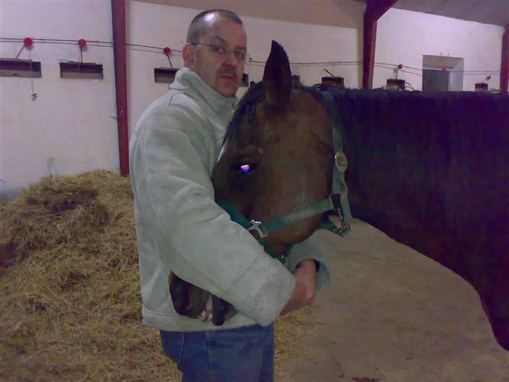 Fuldblod (XX) Blue Line Lady - her er smukke pigen bedøvet  pga. hovbyld=`( billede 10