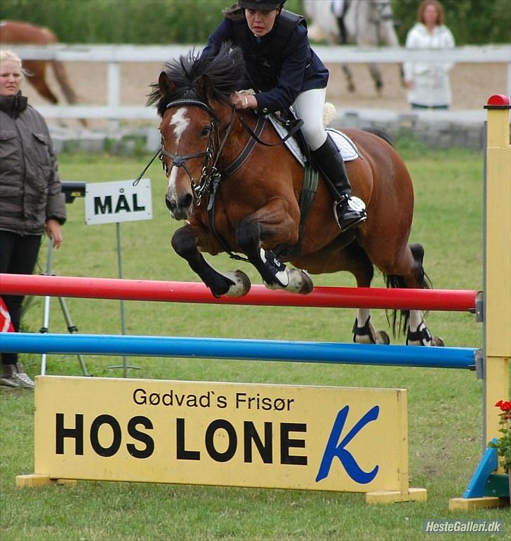 Anden særlig race Muskas - MB på SPS - juni 2010. billede 16