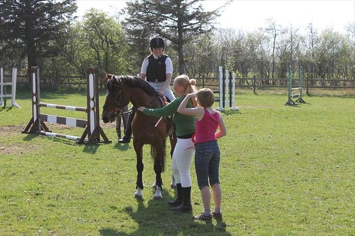Anden særlig race Muskas - Sponsorstævne, 1. plads i voltespring (18 spring på 90 sek). | foto: Tina Bogø. billede 17