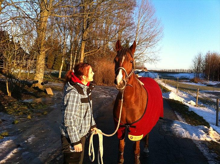 Hollandsk Sportspony Luna Stauslykke - Luna Januar 2011.. - du forstår at få mig til at smile! billede 1