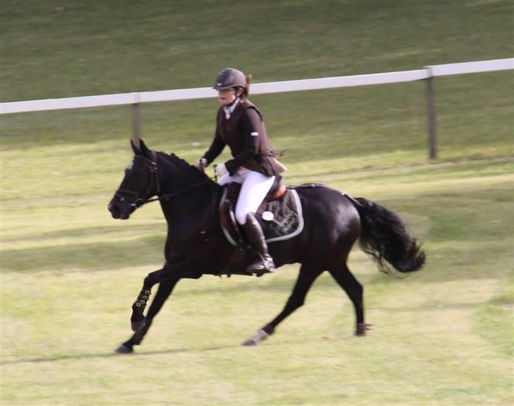 Anden særlig race Torpegårds Master  - Torpegårds Master <3 ..     mors 09 (; billede 1