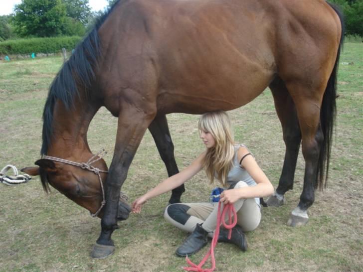 Fuldblod (XX) Tramal (Solgt) - Han er bare så dejlig !! Elsker diqq så meget minskat !! < 33 billede 10