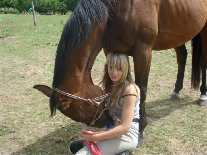 Fuldblod (XX) Tramal (Solgt) - Nurhh, hvor er han bare dejlig !! < 33 Elsker diqq mere end livet selv Tramal ! < 33 < 33 billede 12