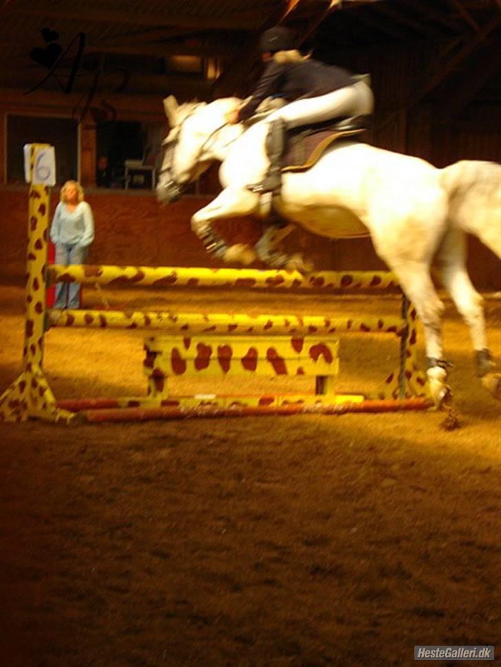 Anden særlig race Paula (Red) - fed vinkel :P haha <3 mesterfotografen Amalie aka hippien :D billede 13