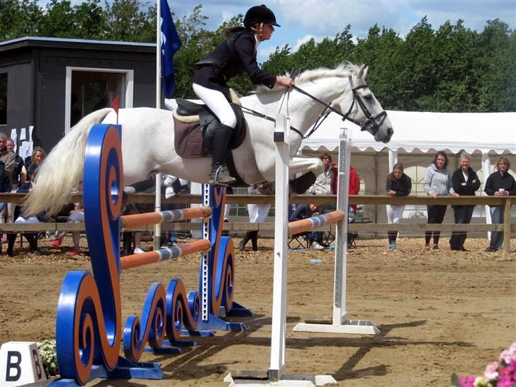 Anden særlig race Irish Jumper - solgt  - Dm for hold 2008. Sluttede med 6 fejl! Klart min skyld! Sorry Irish <3 Foto: Ulle billede 10