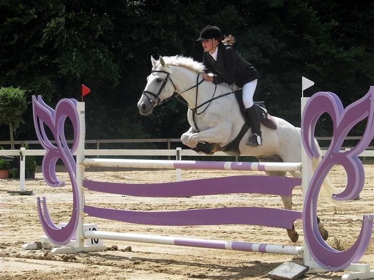 Anden særlig race Irish Jumper - solgt  - Dm for hold 2008. Sluttede med 6 fejl! Klart min skyld! Sorry Irish <3 Foto: Ulle billede 12