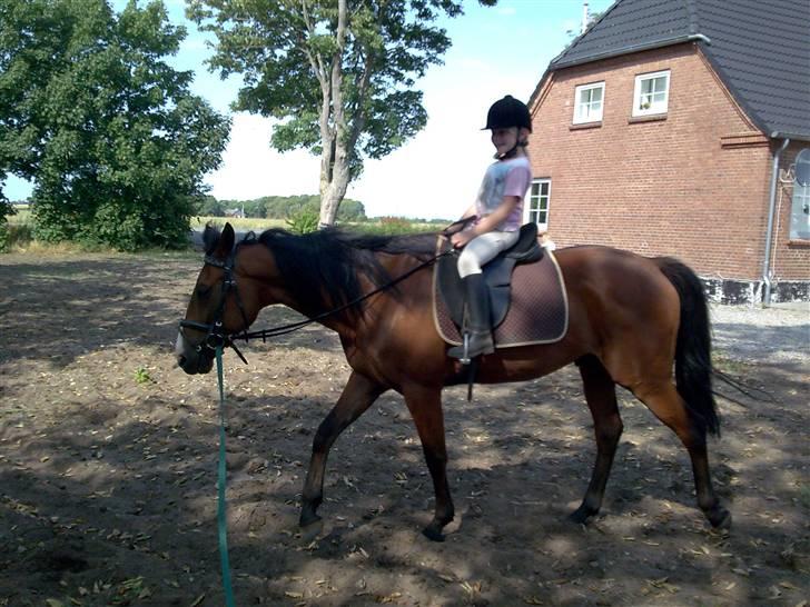 Traver Gi Vert *SOLGT* - Min 6-årige søster ude og prøve Gi vert billede 8