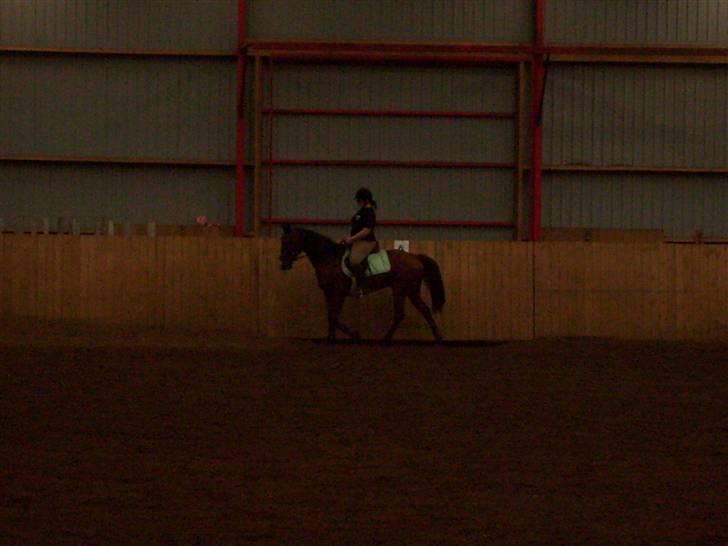 Traver Gi Vert *SOLGT* - Nyt 5/9-08 billede 11